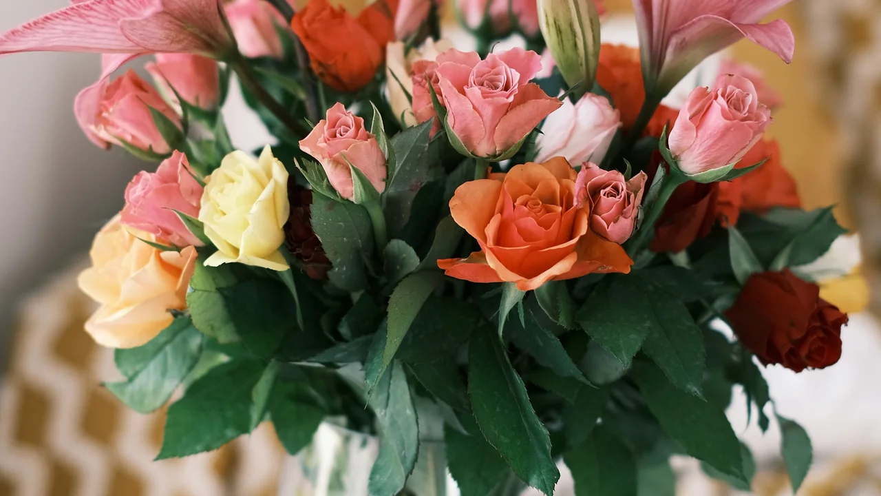 Close-up of pink, orange and yellow flowers in an arrangement