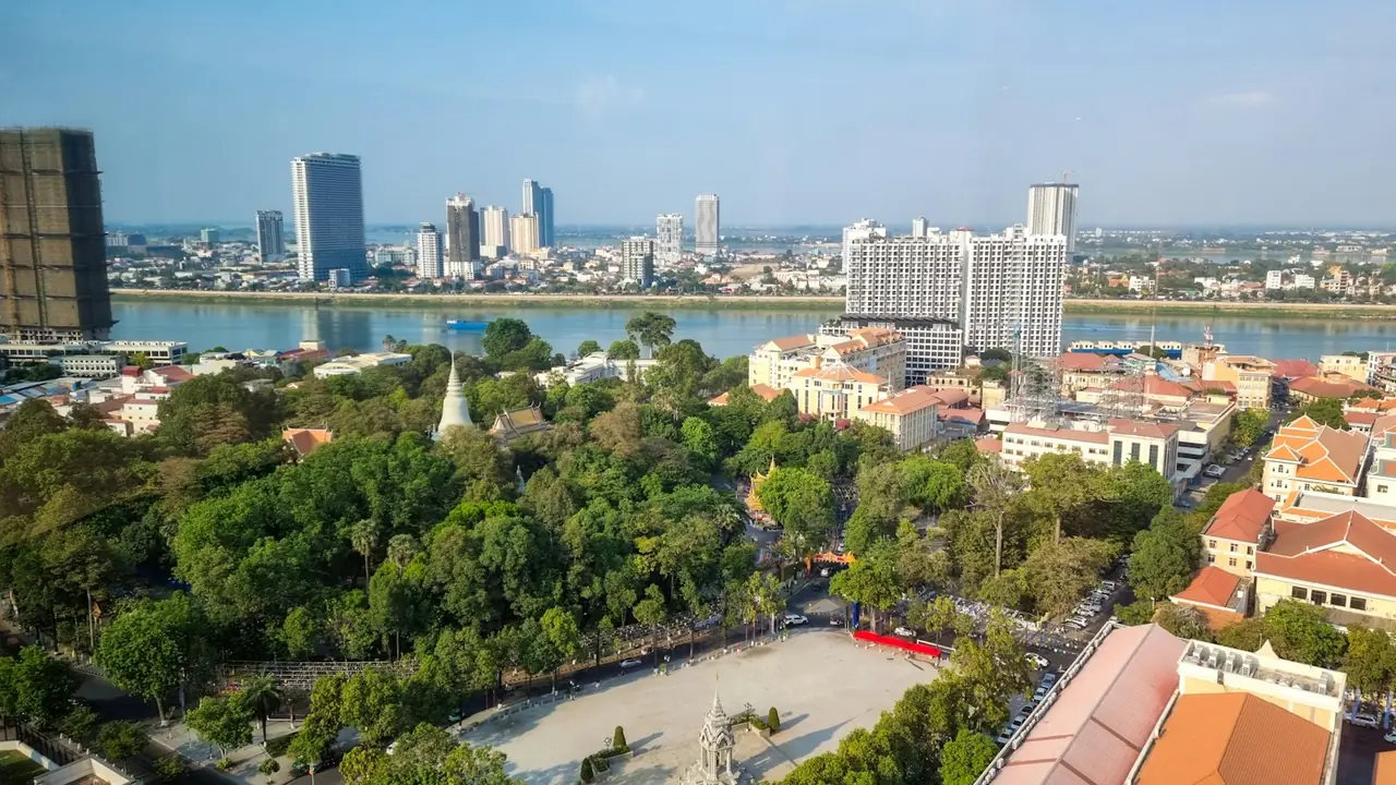 Aerial view of trees and buildings beside a river