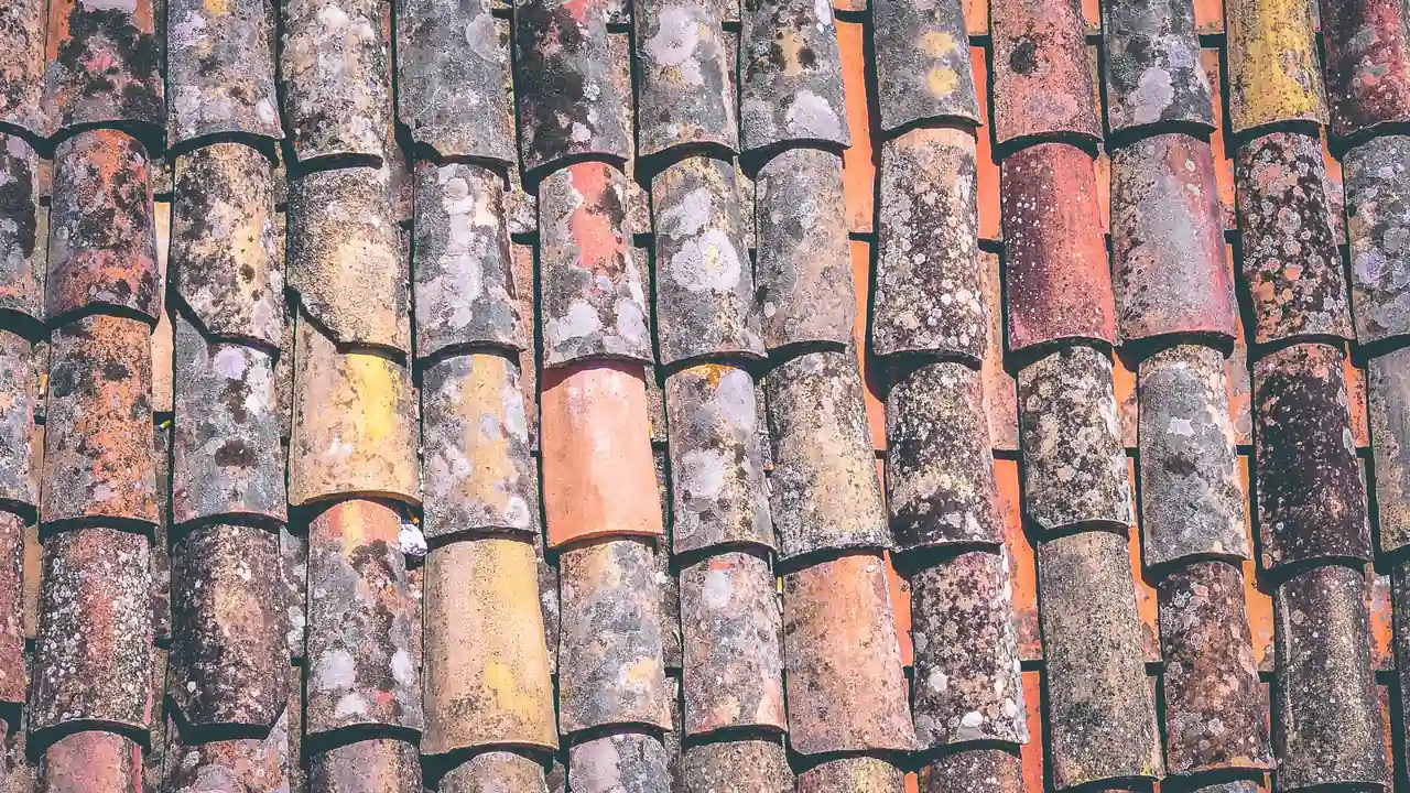 Rows of weathered curved terracotta roof tiles